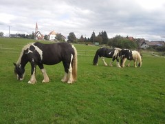 2014 013 Oktober