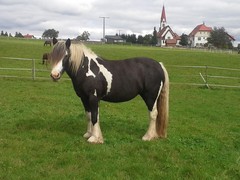 2014 014 Oktober