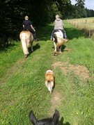 2016 016 reiten