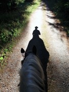 2016 018 reiten
