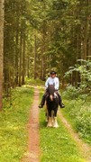 2016 020 reiten