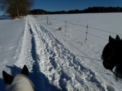 2017 000 januar