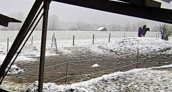 2017 000 januar