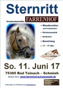 2017 000 januar
