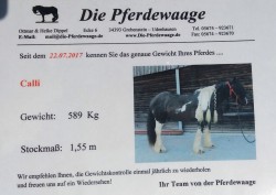 2017 000 januar