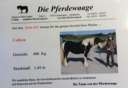 2017 000 januar