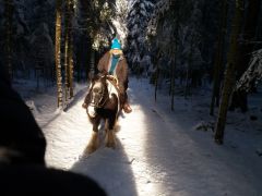 2018 002 januar