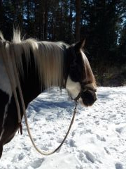 2018 030 februar
