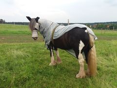 2018 062 juni