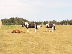 2018 077 september