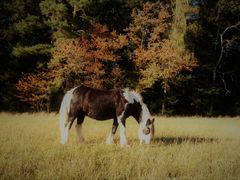 2018 091 oktober
