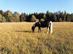 2018 091 oktober