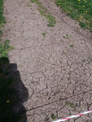 2020 090 april
