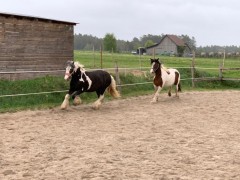 2020 090 april
