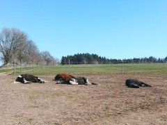 2020 090 april