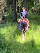 2020 173 juli