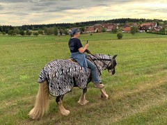 2020 182 juli