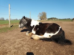 2021 061 maerz