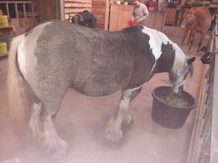2021 063 maerz
