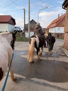 2021 071 maerz