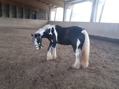 2021 111 april