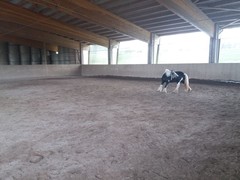2021 112 april