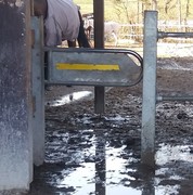 2021 116 april