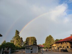 2021 303 august