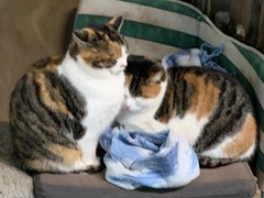 img 20210112 wa0007