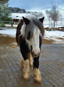 2022 01 januar 008
