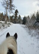 2022 01 januar 011