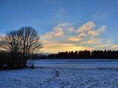2022 01 januar 023