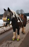 2022 01 januar 025
