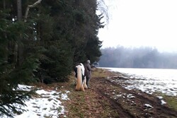 2022 01 januar 037
