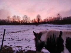 2022 01 januar 039