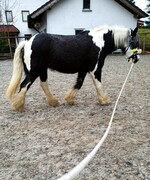 2022 02 februar 054