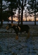 2022 02 februar 056