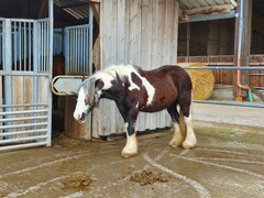 2022 02 februar 079