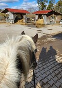 2022 02 februar 083