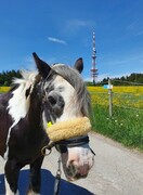 2022 05 mai 170