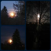 2023 01 jan 023