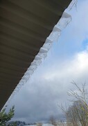 2023 02 feb 078