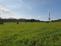 2023 05 mai 248