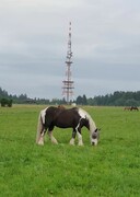2023 06 juni 403