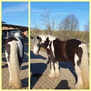 2024 02 februar 047