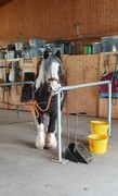 2024 02 februar 058