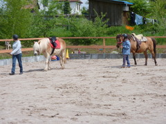 2009 cr 001 mai