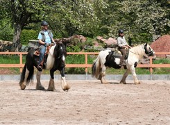 2009 cr 001 mai