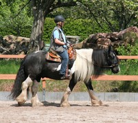 2009 cr 001 mai