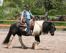 2009 cr 001 mai